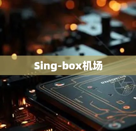 Sing-box机场 Sing-box机场