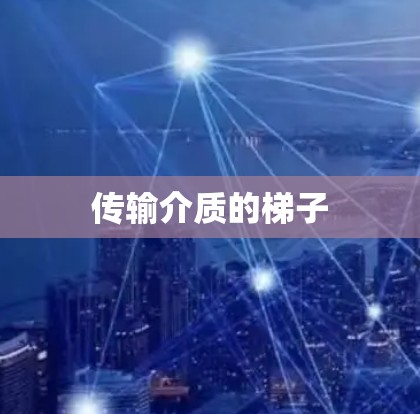 传输介质的梯子