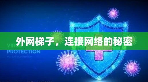 外网梯子，连接网络的秘密