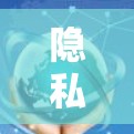隐私VPN软件是一种通过虚拟网络连接外部互联网的工具,旨在保护用户隐私和信息安全。以下是对隐私VPN软件的详细分析 隐私VPN软件是一种通过虚拟网络连接外部互联网的工具,旨在保护用户隐私和信息安全。以下是对隐私VPN软件的详细分析