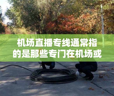 机场直播专线通常指的是那些专门在机场或机场周边运营的直播平台或服务，允许用户通过手机、电脑或其他设备在机场现场观看直播内容。以下是一些可能的机场直播专线