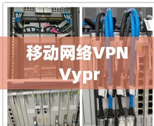 移动网络VPN Vypr 移动网络VPN Vypr