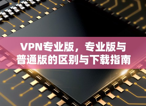 VPN专业版，专业版与普通版的区别与下载指南