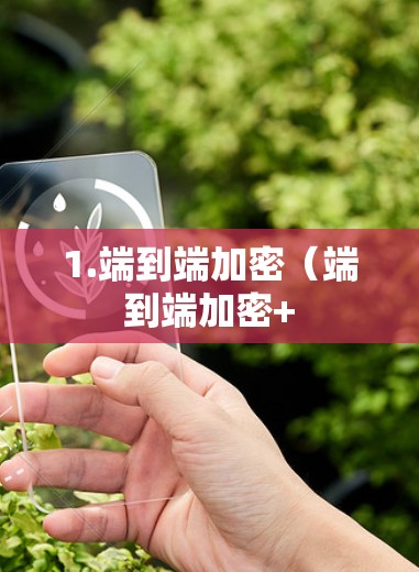 1.端到端加密(端到端加密+ 1.端到端加密(端到端加密+