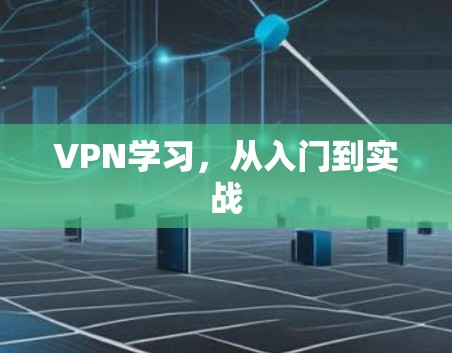 VPN学习,从入门到实战 VPN学习,从入门到实战