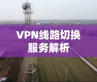 VPN线路切换服务解析 VPN线路切换服务解析