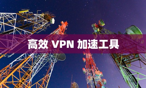 高效 VPN 加速工具