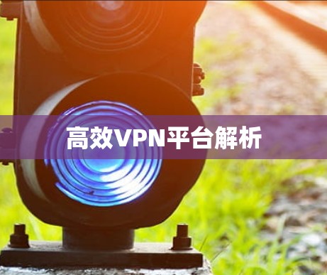 高效VPN平台解析 高效VPN平台解析