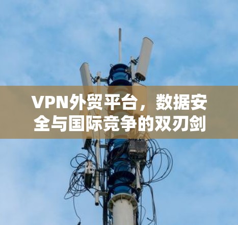 VPN外贸平台,数据安全与国际竞争的双刃剑 VPN外贸平台,数据安全与国际竞争的双刃剑