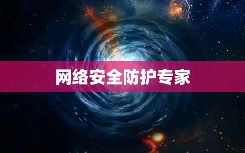 网络安全防护专家