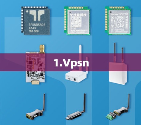 1.Vpsn 1.Vpsn