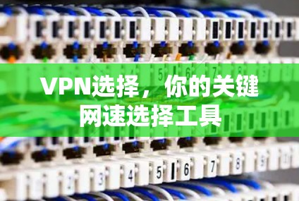 VPN选择,你的关键网速选择工具 VPN选择,你的关键网速选择工具