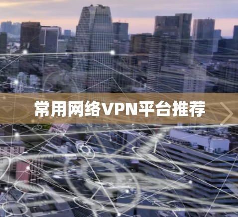 常用网络VPN平台推荐
