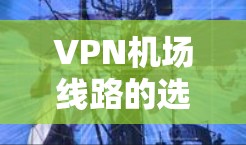 VPN机场线路的选择是根据用户的具体需求、地理位置和使用的场景来决定的。以下是一些关键点和建议，帮助您更好地选择VPN机场