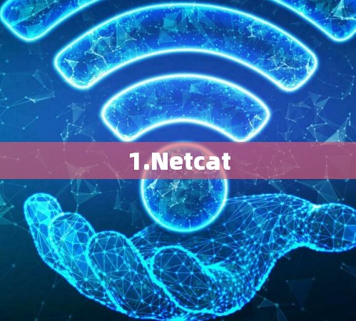 1.Netcat