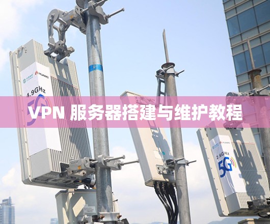 VPN 服务器搭建与维护教程 VPN 服务器搭建与维护教程