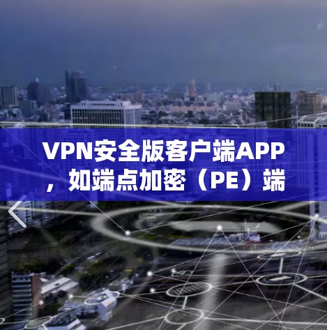 VPN安全版客户端APP，如端点加密（PE）端口隐藏（ECDH）和SSE客户端，通过提供端到端加密、端口隐藏和高级加密协议，提供了多种安全防护方案。以下是这些客户端的详细介绍