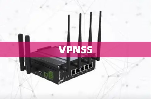 VPNSS